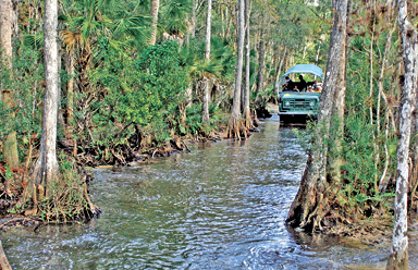 Babcock swamp 2024 buggy tour